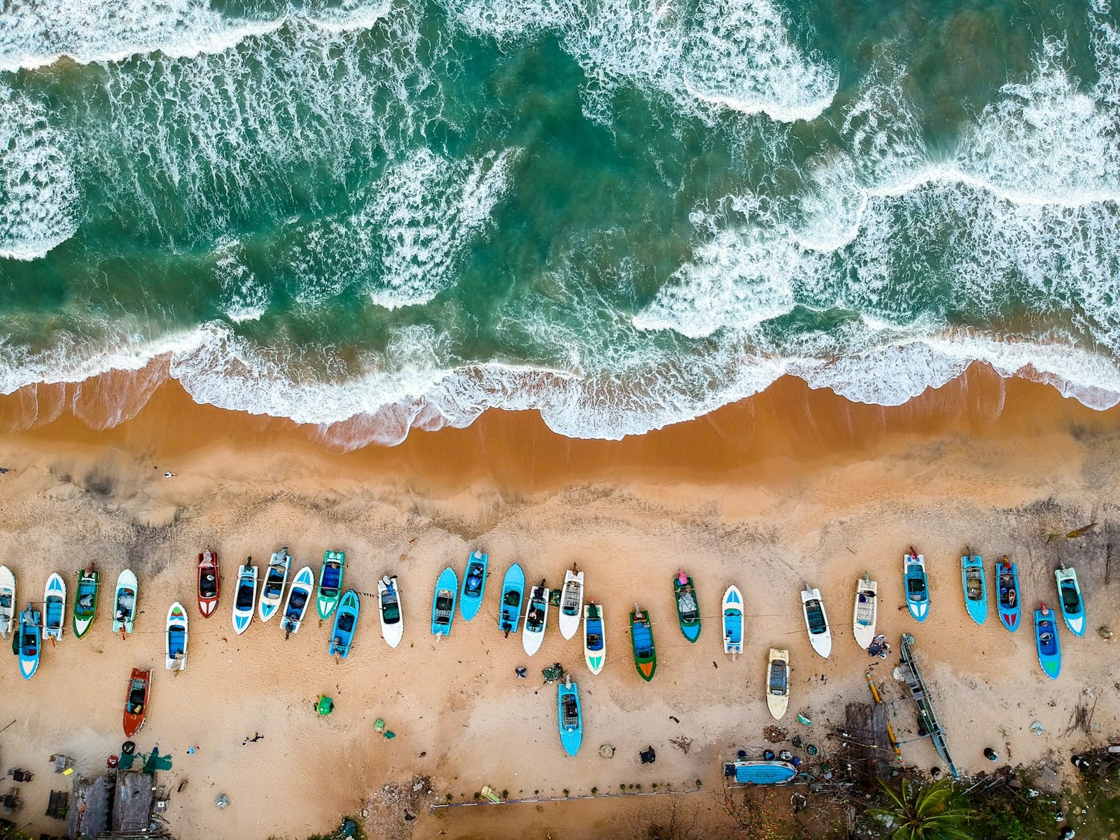 a drone view of arugambay beach, fishing boats covers the entire breadth of the beach